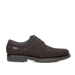 CALLAGHAN BLUCHER ANTE