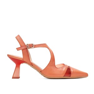 DEST.DIAGONAL CORAL