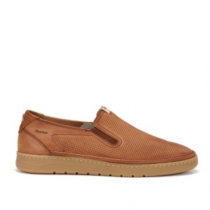 FLUCHOS CAMPING CUERO