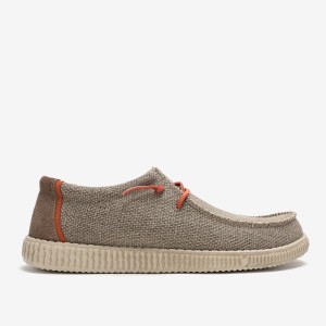 Wallaby Steve Taupe